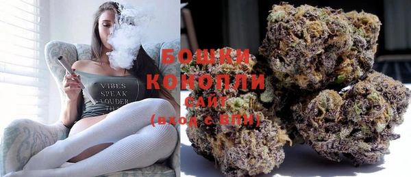 стафф Волгодонск