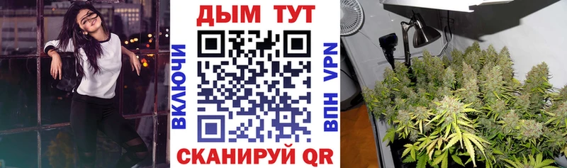 Канабис AK-47  ОМГ ОМГ ссылка  Гдов 